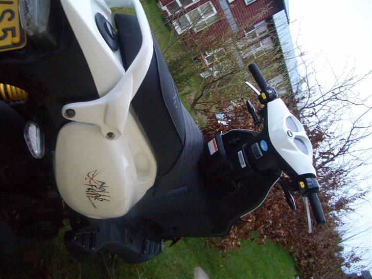 PGO PMX sport "no fear" billede 7