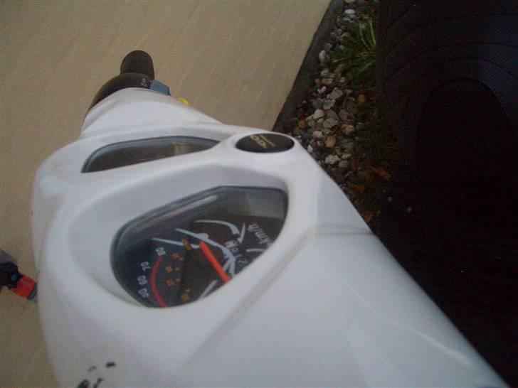 PGO PMX sport "no fear" billede 8