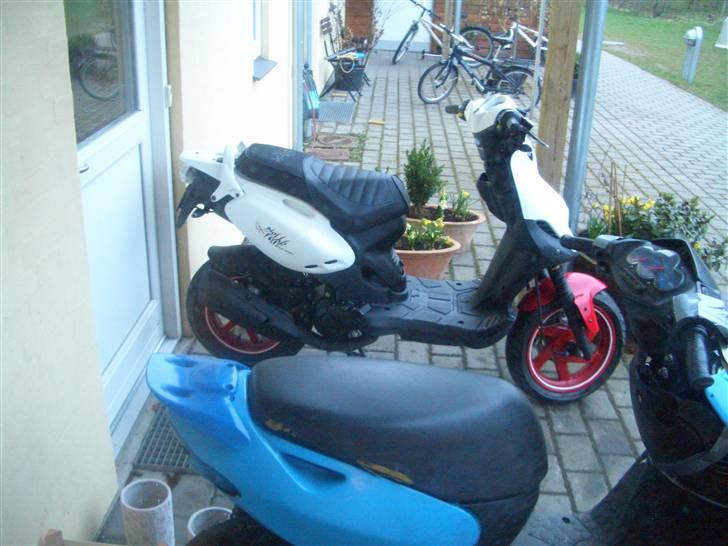 PGO PMX sport "no fear" billede 10