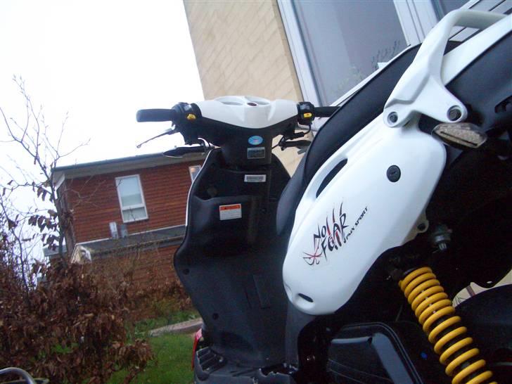 PGO PMX sport "no fear" billede 11