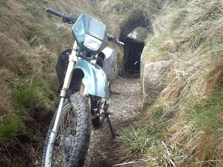 Suzuki Rmx  billede 9