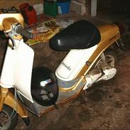 Yamaha passola