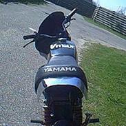 Yamaha Fs1  *RIP*