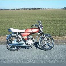 Yamaha Fs-1