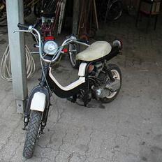 Suzuki Fz50