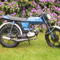 Puch                     Monza