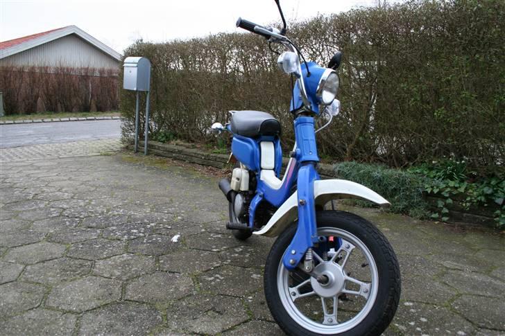 Suzuki FZ50 - Sådan ser den ud nu...stortset færdig renoveret og 100% lovlig billede 1