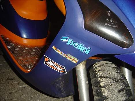 Honda SFX  - Gammelt billede.. billede 5