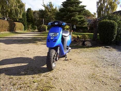 Piaggio Typhoon billede 2