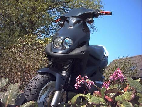 PGO Pmx Sport ~TeaM PgC~ billede 1