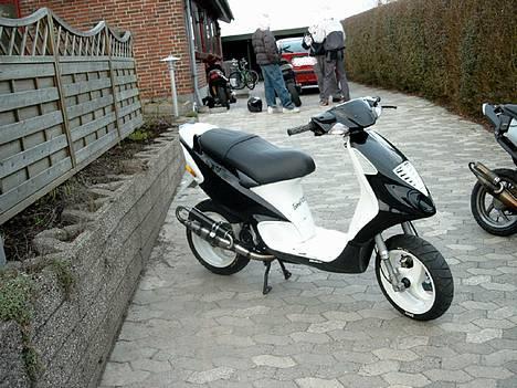 Piaggio NRG mc3 carbon Edition billede 2