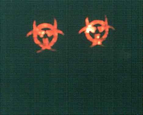 PGO Dr. Big (Team TT) (SOLGT) - Baglygte med Bio Hazard mærker  billede 10