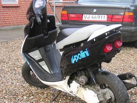 Honda Sfx billede 6
