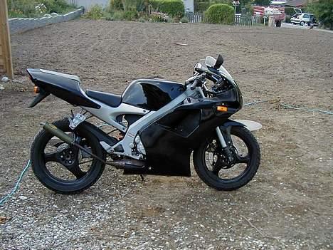 Aprilia RS50 billede 3