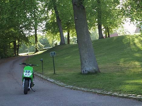 Piaggio NRG MC³ LC SOLGT billede 5