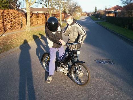 Puch KL  (Projekt) billede 7