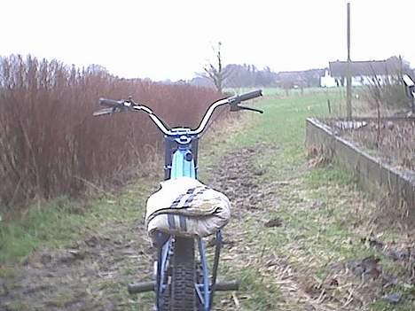 Puch Maxi P (Solgt) billede 2