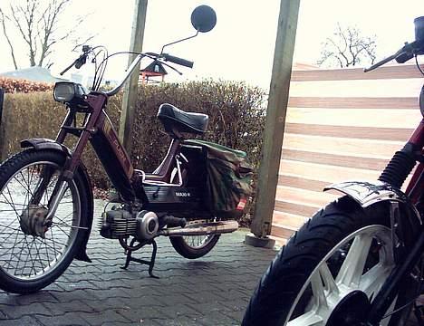 Puch Maxi billede 2