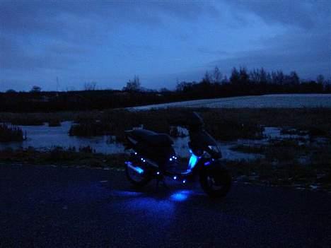 PGO DR. Big #TIL SALG# - Dioder Show 2 billede 9