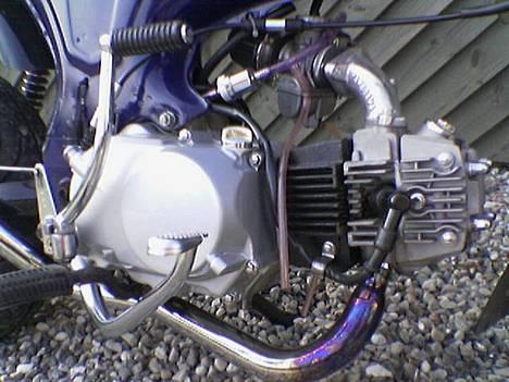 Honda Dax (Ikke til salg!) billede 3