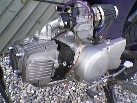 Honda Dax (Ikke til salg!) billede 4