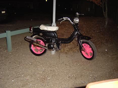 Suzuki fz50 billede 7