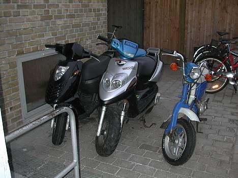 Suzuki fz50 billede 1