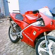 Cagiva mito 50 