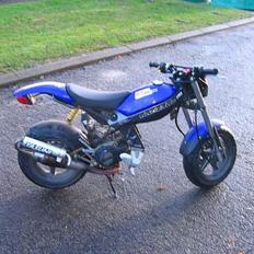 Suzuki Street magic(solgt)