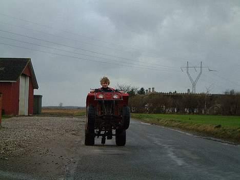 Yamaha Puma billede 2