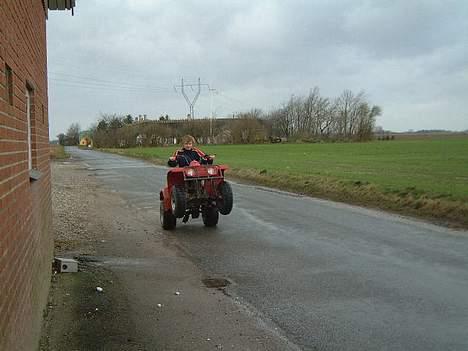 Yamaha Puma billede 3