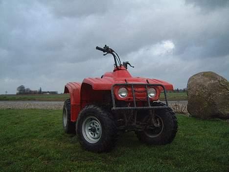 Yamaha Puma billede 4