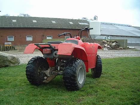 Yamaha Puma billede 5