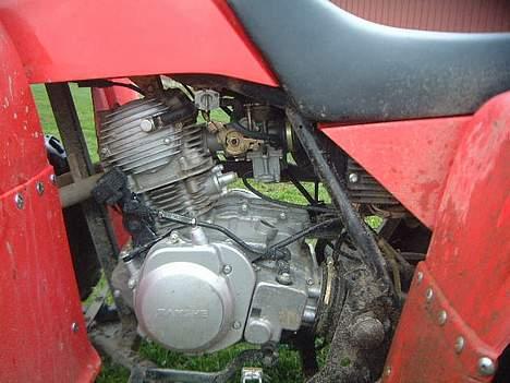 Yamaha Puma billede 6