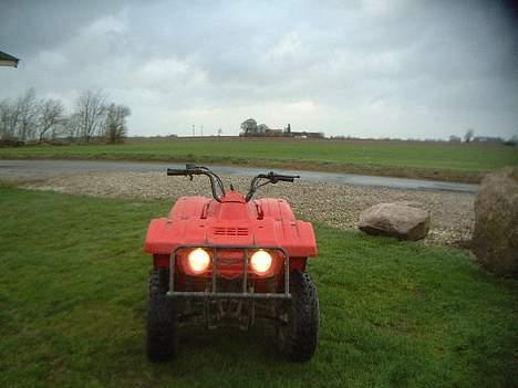 Yamaha Puma billede 7