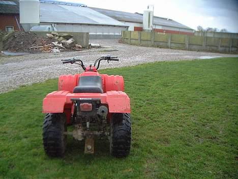 Yamaha Puma billede 8