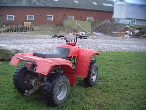 Yamaha Puma billede 9