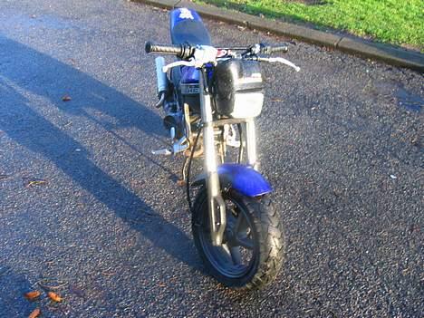 Suzuki Street magic(solgt) billede 5