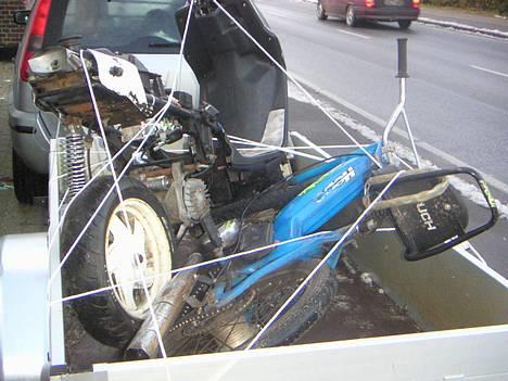 Puch               maxi  - her er den så sammem med popen nu er det ikk mine mer de er byttet væk for en jog der kun har kørt 889 billede 1