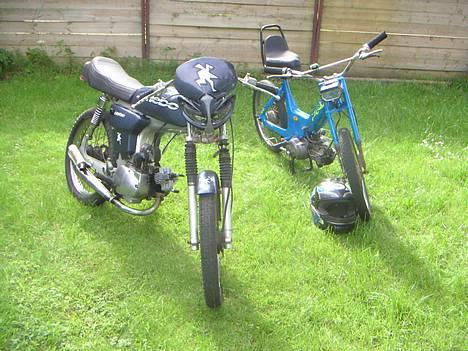 Puch               maxi  - fed billede 8