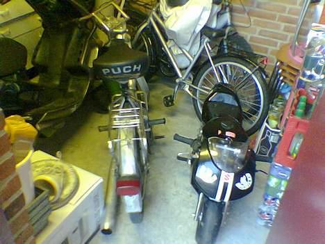 MiniBike Daytona G2 Solgt.. - Puch, Pocket bike og papa´s Pegueot Speedfight LC MHR billede 6