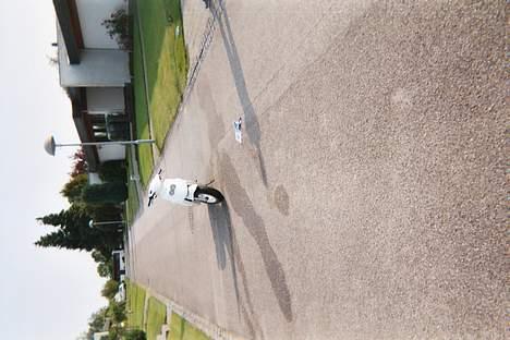 PGO hot 50  billede 7