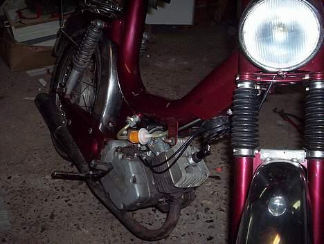 Veteraner Monark billede 8