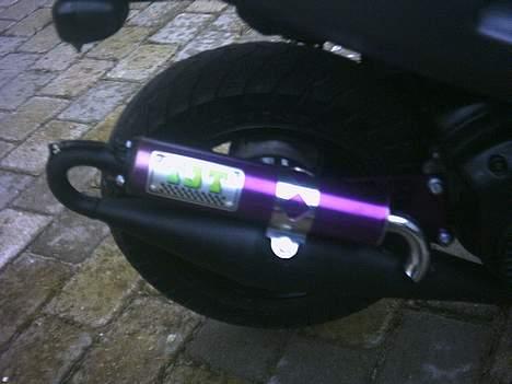 Honda Sfx - SOLGT -  billede 3