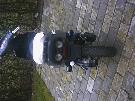 Honda Sfx - SOLGT -  billede 5