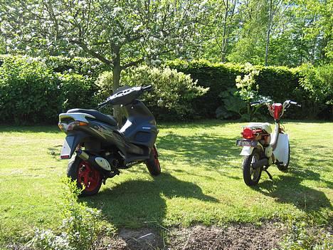 Gilera Runner TIL SALG billede 6