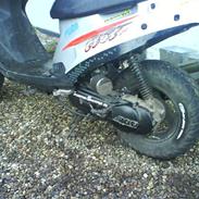 PGO            hot 50 R setup