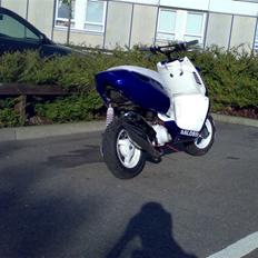 Aprilia sonic the blue king