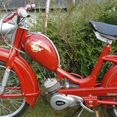 Veteraner   Rex 2 Gear