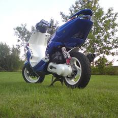 Peugeot Speedfight 307 WRC- SOLGT